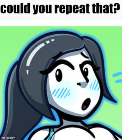 could you repeat that? | image tagged in could you repeat that | made w/ Imgflip meme maker
