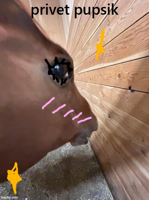 . | privet pupsik | image tagged in side eye horse | made w/ Imgflip meme maker