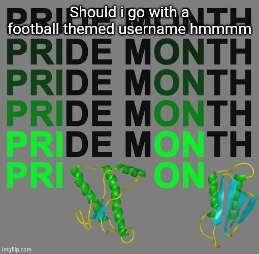 Should i go with a football themed username hmmmm | image tagged in happy-prion-month-v0-0zpwaq1y0p4h1 jpeg | made w/ Imgflip meme maker