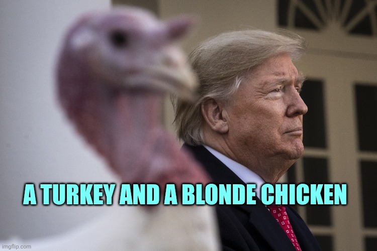 Trump Turkey | A turkey and a blonde chicken | image tagged in trump turkey | made w/ Imgflip meme maker