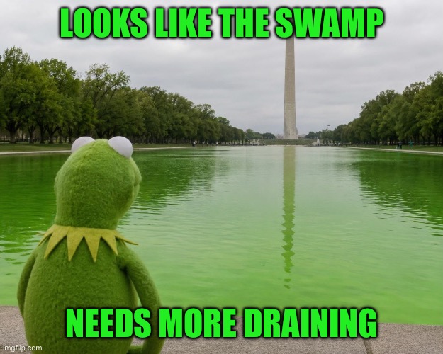 Looks like the swamp Needs more draining | image tagged in kermit reflecting pool | made w/ Imgflip meme maker