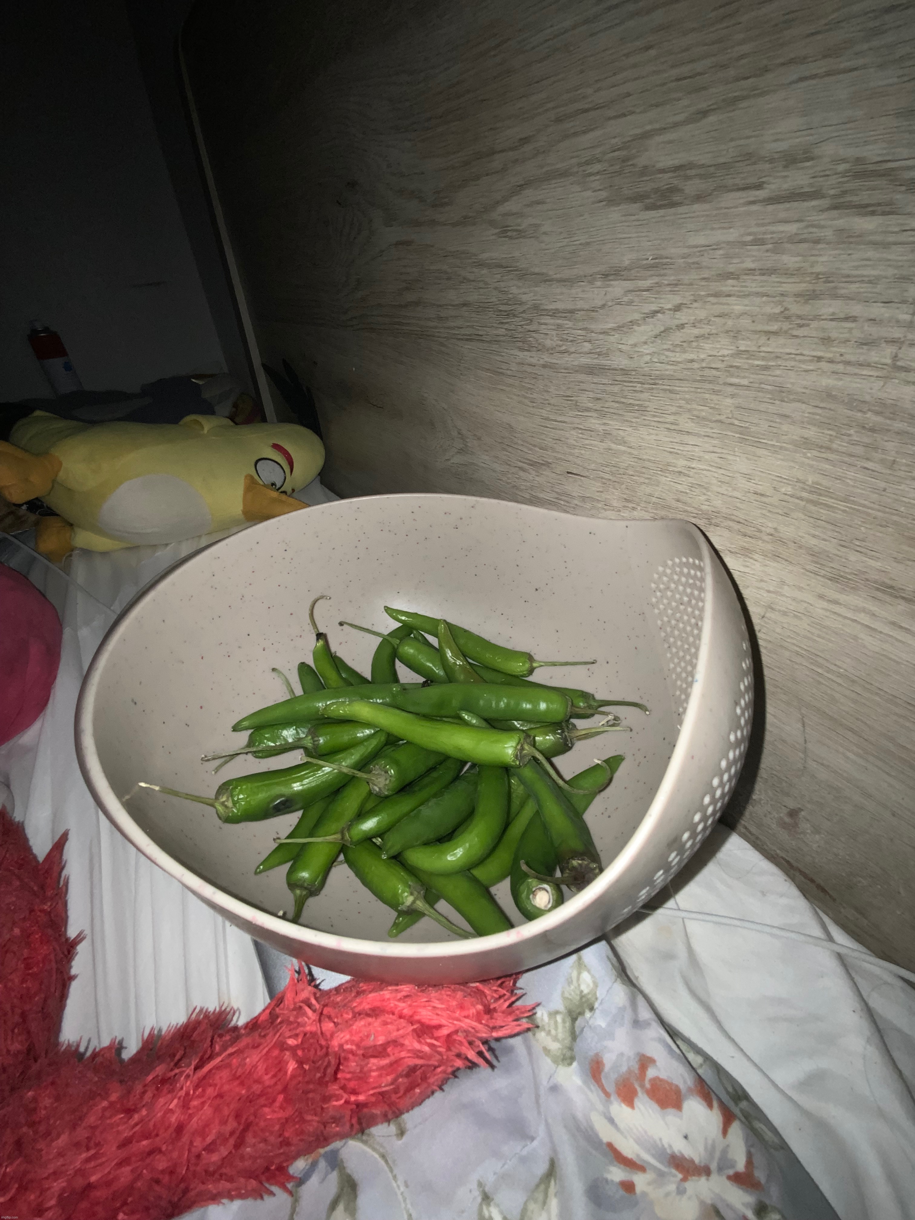 I have jalapeños For my midnight snack | image tagged in midnight,snack | made w/ Imgflip meme maker