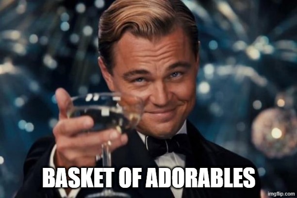 Leonardo Dicaprio Cheers Meme | basket of adorables | image tagged in memes,leonardo dicaprio cheers | made w/ Imgflip meme maker