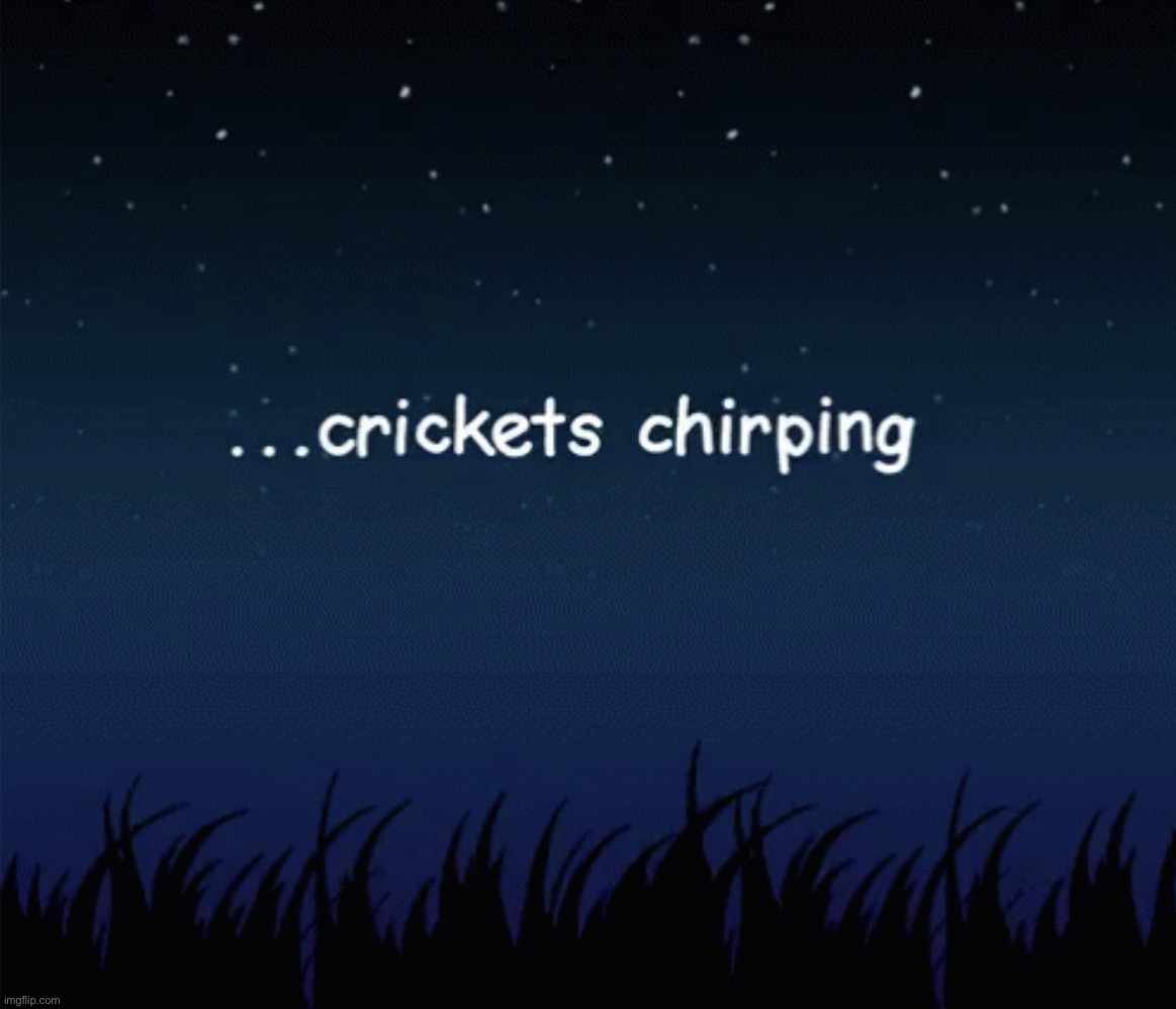 Crickets Chirping | image tagged in crickets chirping | made w/ Imgflip meme maker