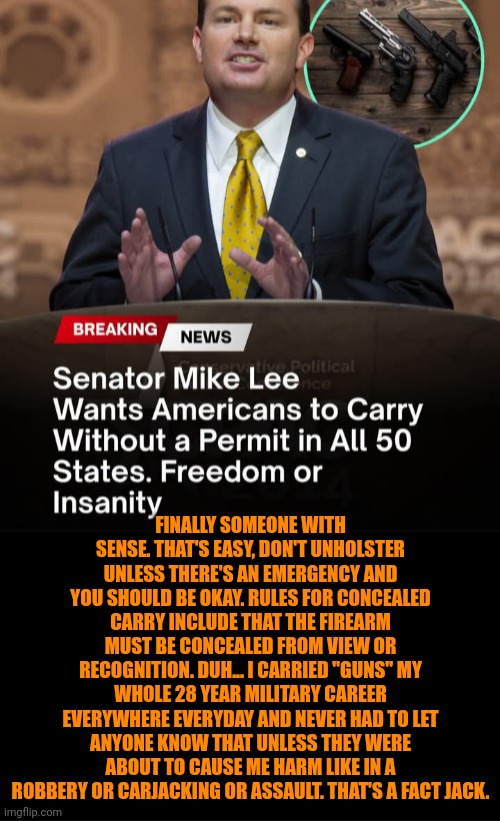 Funny | Finally someone with sense. That's easy, don't unholster unless there's an emergency and you should be okay. Rules for concealed carry include that the firearm must be CONCEALED from view or recognition. Duh... I carried "guns" my whole 28 year military career everywhere everyday and never had to let anyone know that unless they were about to cause me harm like in a robbery or carjacking or assault. That's a fact jack. | image tagged in funny,politics,guns,gun safety,the silent protector,common sense | made w/ Imgflip meme maker