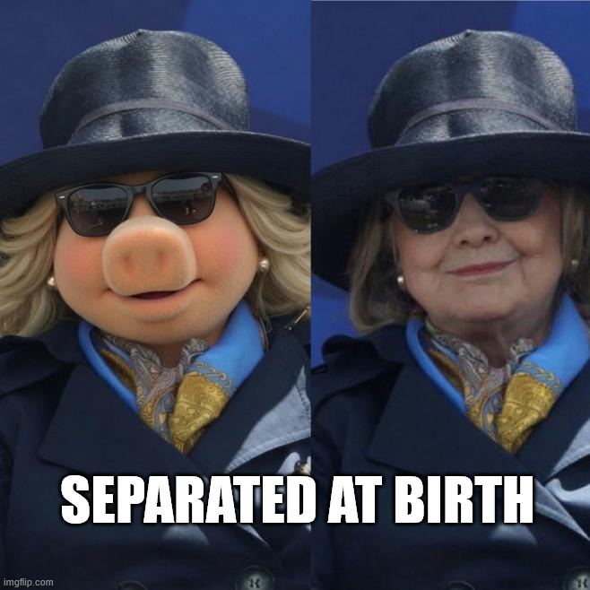 Separated at birth | Separated at birth | image tagged in hillary clinton | made w/ Imgflip meme maker
