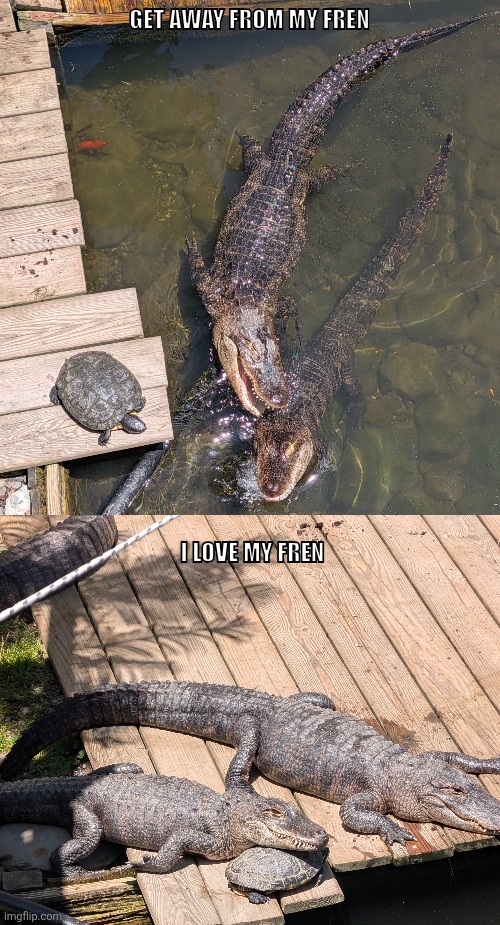 Fren | Get away from my fren; I love my fren | image tagged in pxl_20260620_172559586 mp jpg | made w/ Imgflip meme maker