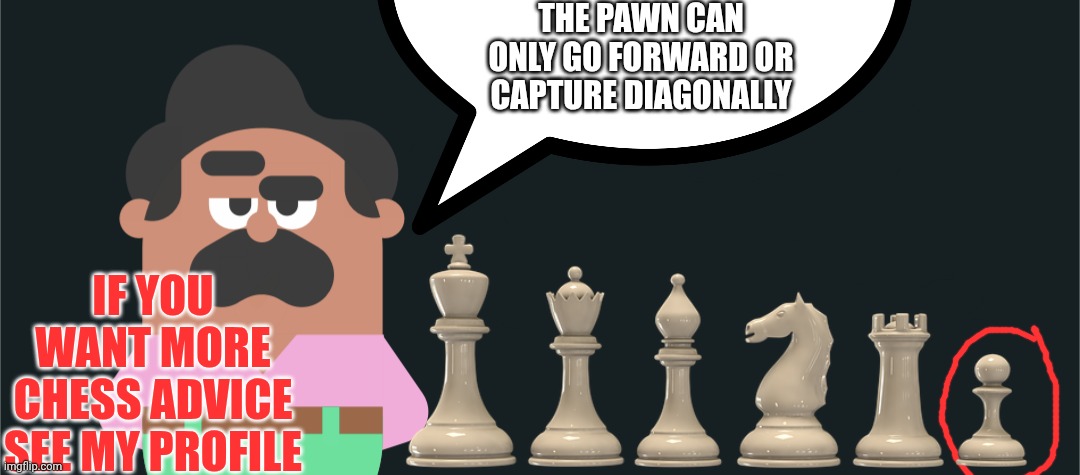 Oscar Duolingo Speech Bubble | The pawn can only go forward or capture diagonally; If you want more chess advice see my profile | image tagged in oscar duolingo speech bubble | made w/ Imgflip meme maker