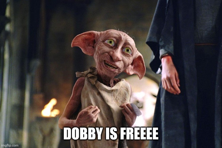 Dobby is freeee | image tagged in dobby is free | made w/ Imgflip meme maker
