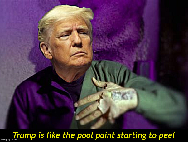 Trump is losing his peel | Trump is like the pool paint starting to peel | image tagged in trump is losing his peel,trump imatates pool paint,the offical color of the reflecting pool is grifter greem,star trek dr korbi | made w/ Imgflip meme maker