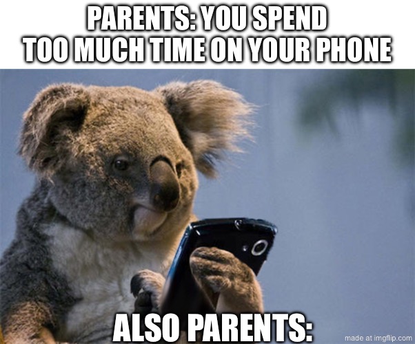 title^-1 | parents: you spend too much time on your phone; also parents: | image tagged in smartphone koala,funny,memes,this is a tag,smartphone,parents | made w/ Imgflip meme maker
