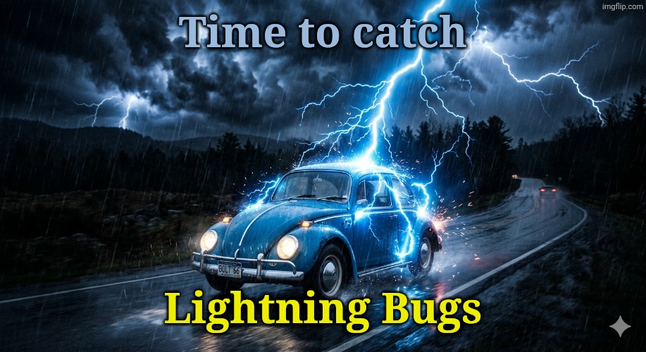 Time to catch; Lightning Bugs | image tagged in funny memes,bugs | made w/ Imgflip meme maker