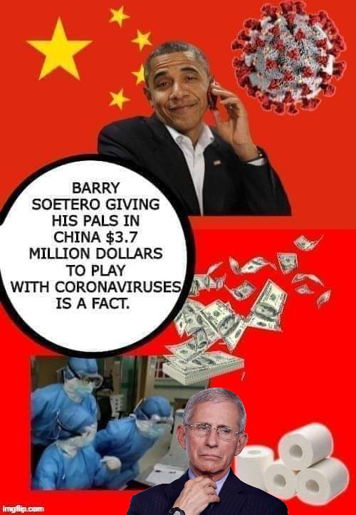 Obama paid for Covid 19 | image tagged in obama paid for covid 19 | made w/ Imgflip meme maker