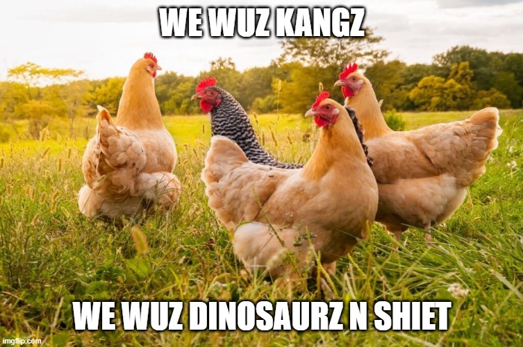They never forget | we wuz kangz; we wuz dinosaurz n shiet | image tagged in we wuz kangz,chickens,dinosaurs,shit post | made w/ Imgflip meme maker