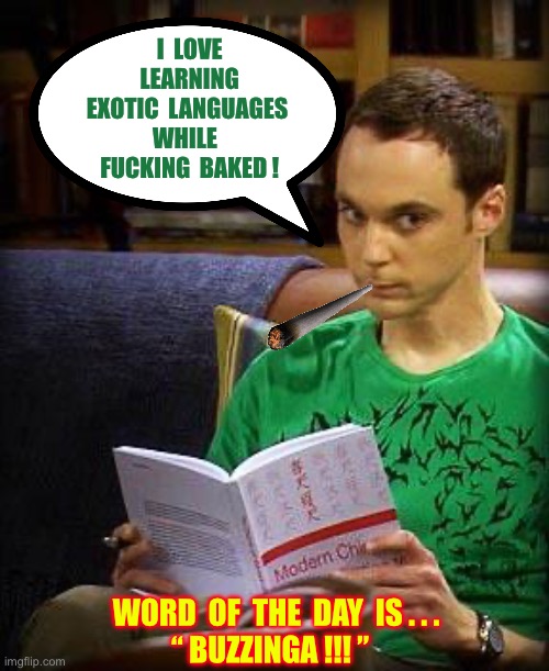 BUZZINGA !!!  : ) | I  love
  Learning 
Exotic  languages
While 
 Fucking  baked ! Word  of  the  day  is . . .
“ Buzzinga !!! ” | image tagged in sheldon cooper | made w/ Imgflip meme maker