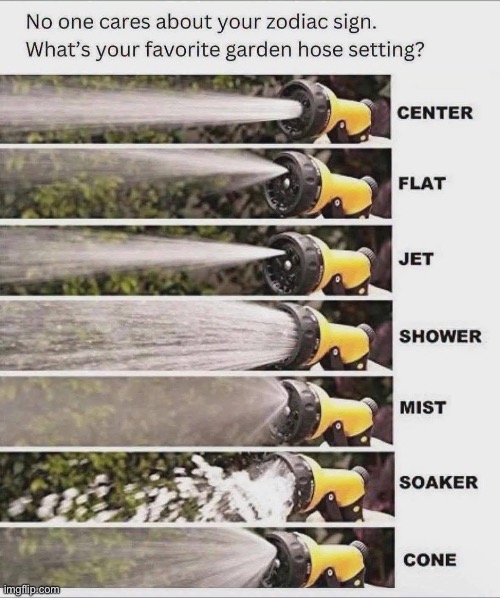 Which one are you? | image tagged in img_4323 jpeg,hose,personality,zodiac signs | made w/ Imgflip meme maker