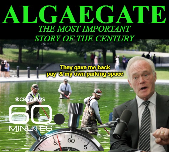 Couldn't do it without em | Algaegate; the most important story of the century; They gave me back pay  & my own parking space | image tagged in algaegate 60 min pelley meme | made w/ Imgflip meme maker