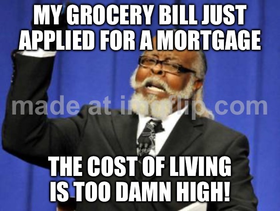 MY GROCERY BILL JUST APPLIED FOR A MORTGAGE | MY GROCERY BILL JUST APPLIED FOR A MORTGAGE; THE COST OF LIVING IS TOO DAMN HIGH! | image tagged in memes,too damn high,groceries,loan,debt,living | made w/ Imgflip meme maker