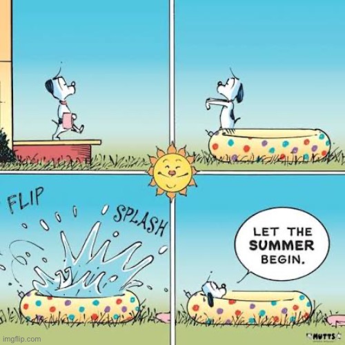 Mutts - Happy 1st day of Summer! | image tagged in comics,mutts,first day of summer,swimming pool,dog,splash | made w/ Imgflip meme maker