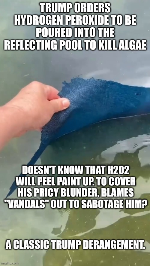 Trump derangement syndrome is in his dementia-riddled brain | Trump orders hydrogen peroxide to be poured into the reflecting pool to kill algae; Doesn't know that h2o2 will peel paint up. To cover his pricy blunder, blames "vandals" out to sabotage him? A classic trump derangement. | image tagged in donald trump reflecting pool con job,tds,antifa,donald trump,trump unfit unqualified dangerous | made w/ Imgflip meme maker