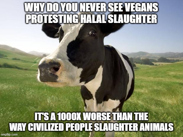 cow | why do you never see vegans protesting halal slaughter; it's a 1000x worse than the way civilized people slaughter animals | image tagged in cow | made w/ Imgflip meme maker