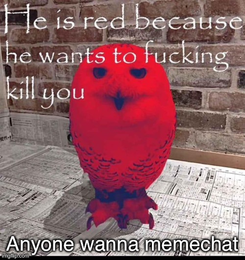 ee545a87-10b0-4b08-b0b9-7f4539b90963.jpeg | Anyone wanna memechat | image tagged in ee545a87-10b0-4b08-b0b9-7f4539b90963 jpeg | made w/ Imgflip meme maker