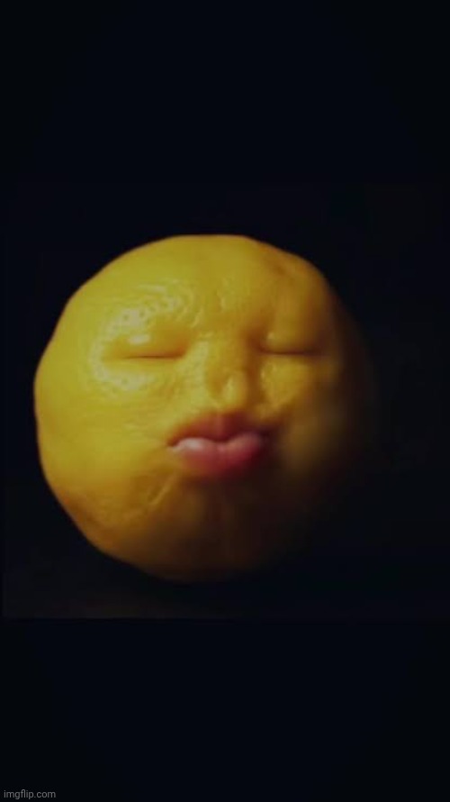 image tagged in lemon holding in laugh | made w/ Imgflip meme maker
