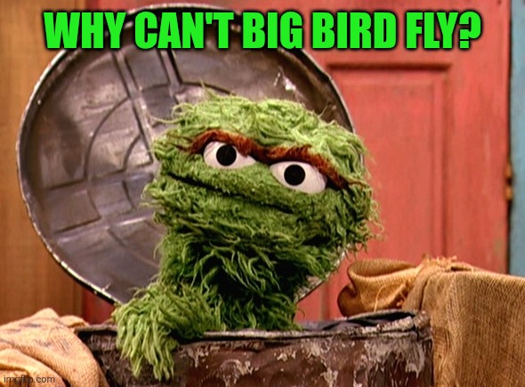 Oscar the grouch | Why can't big bird fly? | image tagged in oscar the grouch | made w/ Imgflip meme maker