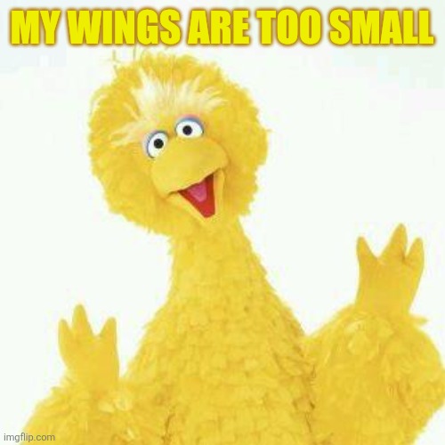 big bird 1 | My wings are too small | image tagged in big bird 1 | made w/ Imgflip meme maker