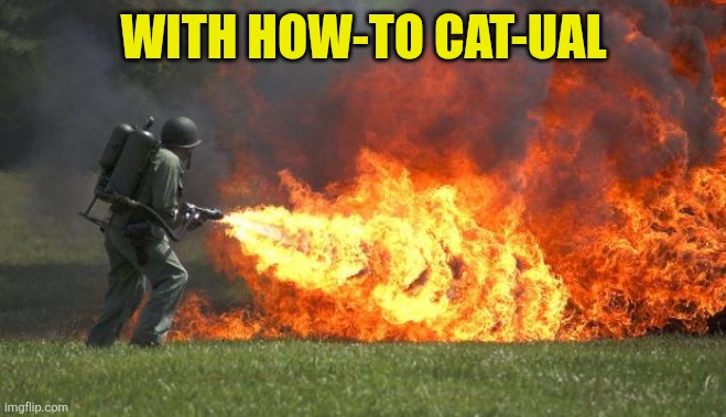 flamethrower | With how-to cat-ual | image tagged in flamethrower | made w/ Imgflip meme maker