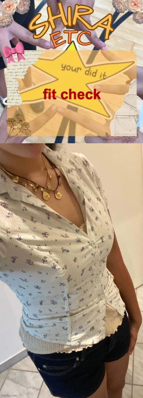 huzz or chuzz?? | fit check | image tagged in shira s best temp | made w/ Imgflip meme maker