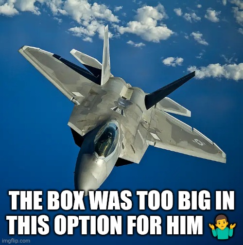 F22 | The box was too big in this option for him ?‍♂️ | image tagged in f22 | made w/ Imgflip meme maker