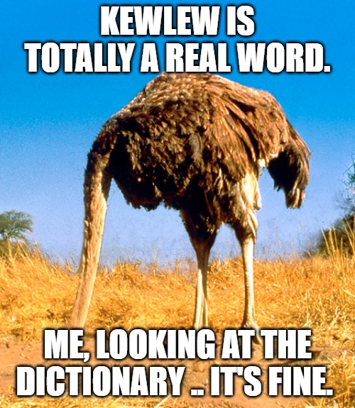 Denial Be Like | Kewlew is totally a real word. Me, looking at the dictionary .. it's fine. | image tagged in denial be like | made w/ Imgflip meme maker