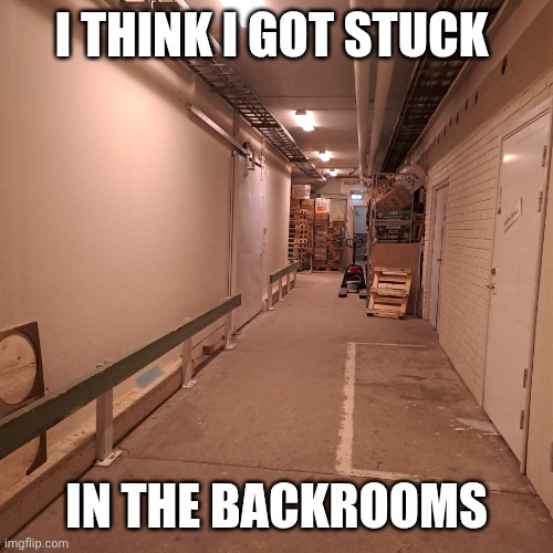 Backrooms? | I think i got stuck; in the backrooms | image tagged in fun | made w/ Imgflip meme maker