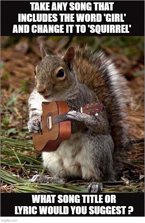 Simple Word Substitution | Take any song that includes the word 'Girl' and change it to 'squirrel'; what song title or lyric would you suggest ? | image tagged in substitution,squirrel,girl,songs,song lyrics | made w/ Imgflip meme maker