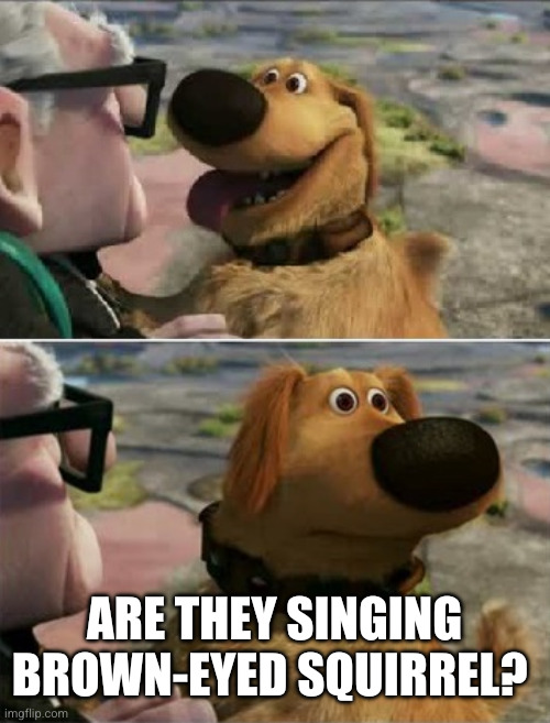 distracted by squirrel | Are they singing Brown-eyed squirrel? | image tagged in distracted by squirrel | made w/ Imgflip meme maker