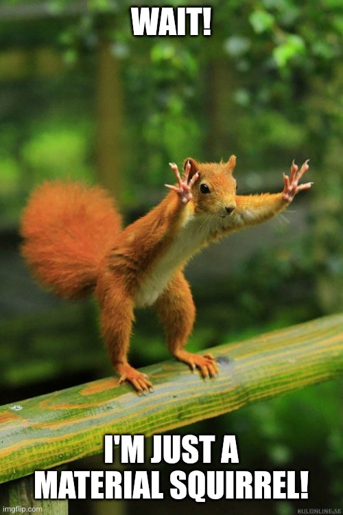 Wait a Minute Squirrel | Wait! I'm just a Material Squirrel! | image tagged in wait a minute squirrel | made w/ Imgflip meme maker