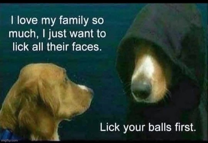 Dogs will be Dogs | image tagged in dogs,licking,faces,balls,trash,who knows what else | made w/ Imgflip meme maker