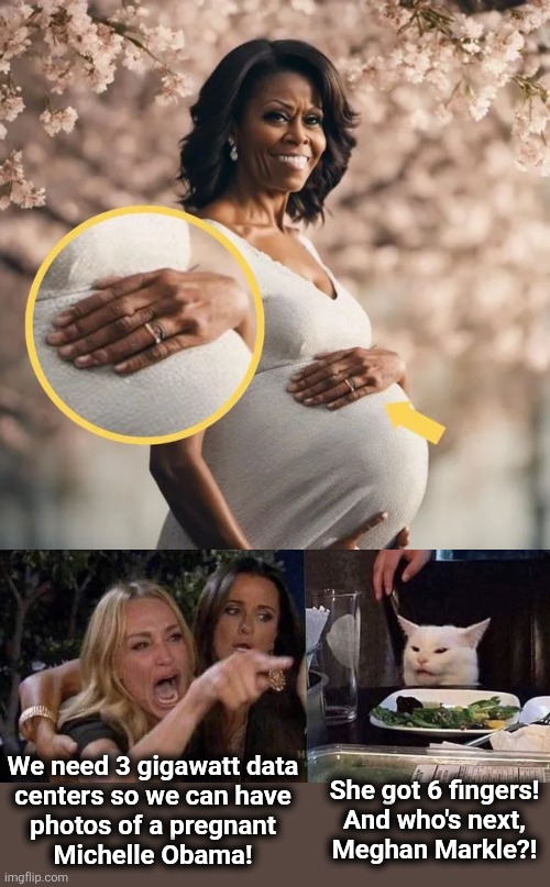 See?!  Men CAN get pregnant! | We need 3 gigawatt data
centers so we can have
photos of a pregnant
Michelle Obama! She got 6 fingers!
And who's next,
Meghan Markle?! | image tagged in woman yelling at cat,memes,michelle obama,pregnant,artificial intelligence,democrats | made w/ Imgflip meme maker