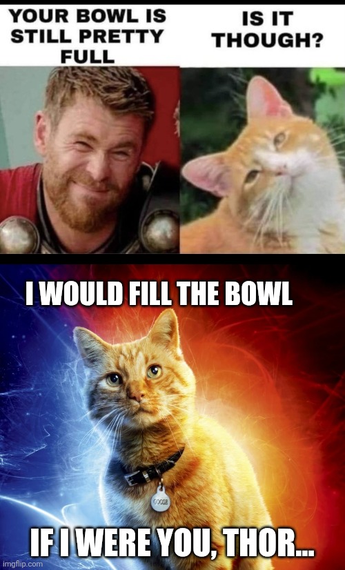 Don't mess with a Flerken | I would fill the bowl; If I were you, Thor... | image tagged in cats,avengers,thor,flerken,goose,feed the cat | made w/ Imgflip meme maker