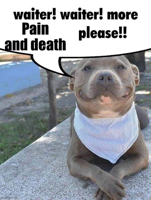 Waiter! Waiter! More toddlers please! | Pain and death | image tagged in waiter waiter more toddlers please | made w/ Imgflip meme maker