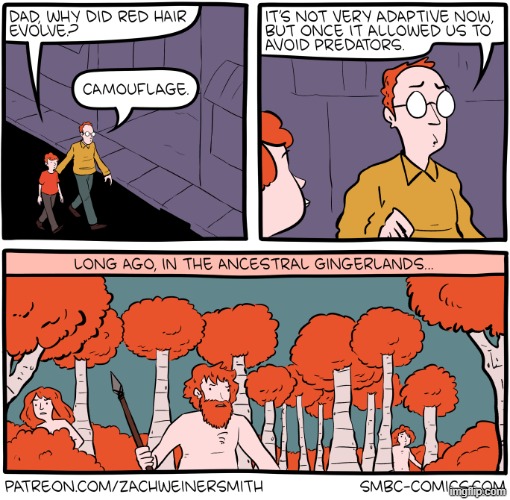 image tagged in comics | made w/ Imgflip meme maker