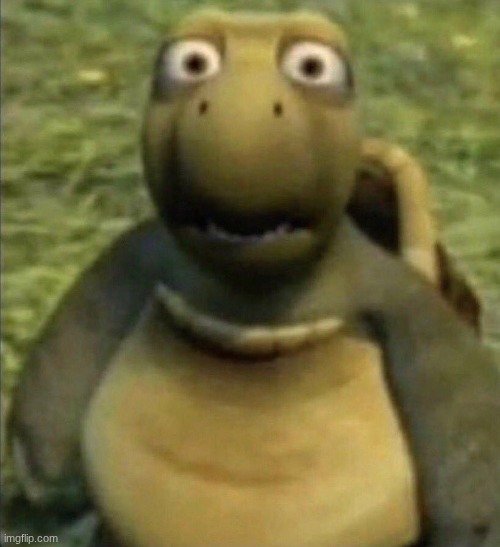 image tagged in shocked turtle | made w/ Imgflip meme maker
