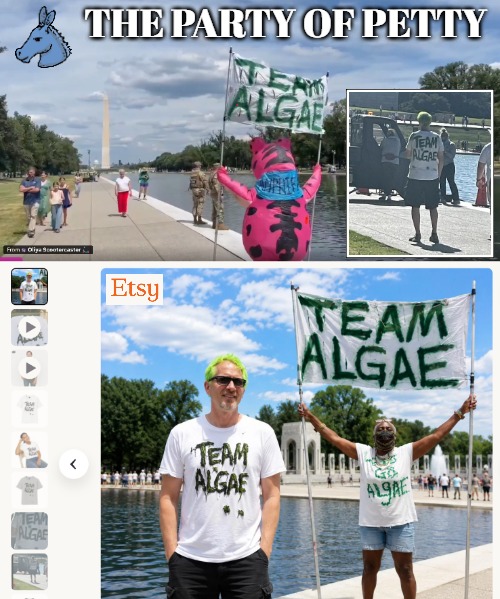 You don't invest in merch without expecting to win | The party of petty | image tagged in democrats,politics | made w/ Imgflip meme maker