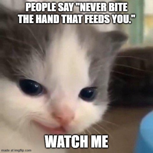 "Never bite the hand" hehe Cat Meme | People say "Never bite the hand that feeds you."; Watch me | image tagged in hehe cat | made w/ Imgflip meme maker