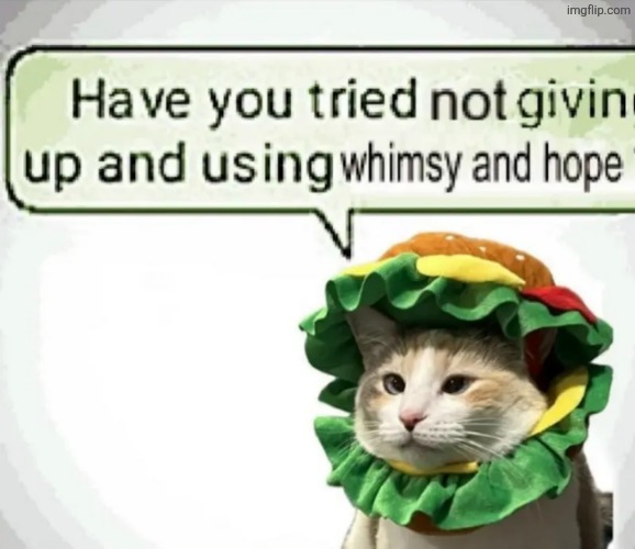 made w/ Imgflip meme maker