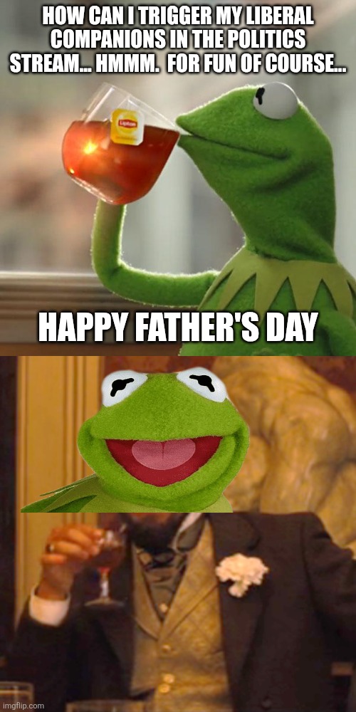 Dem & Rep & Independent & whichever letter of the rainbow stuff... Happy Father's Day | How can I trigger my liberal companions in the Politics stream... Hmmm.  For fun of course... Happy Father's Day | image tagged in memes,but that's none of my business,laughing leo | made w/ Imgflip meme maker