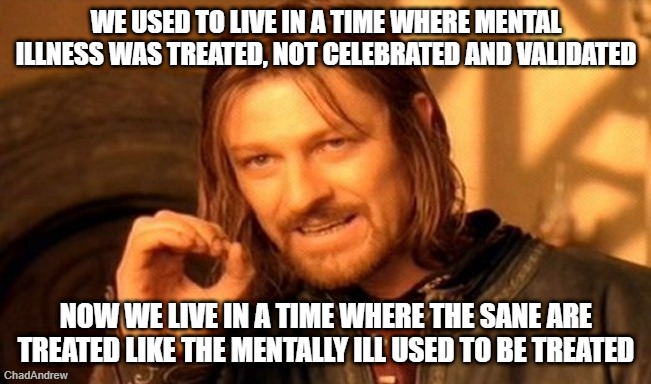 One party celebrates the mentally ill and gives them power. The other ignores it and allows it to happen. | We used to live in a time where mental illness was treated, not celebrated and validated; Now we live in a time where the sane are treated like the mentally ill used to be treated | image tagged in memes,one does not simply,mentally ill,institutions,the left,democrats | made w/ Imgflip meme maker