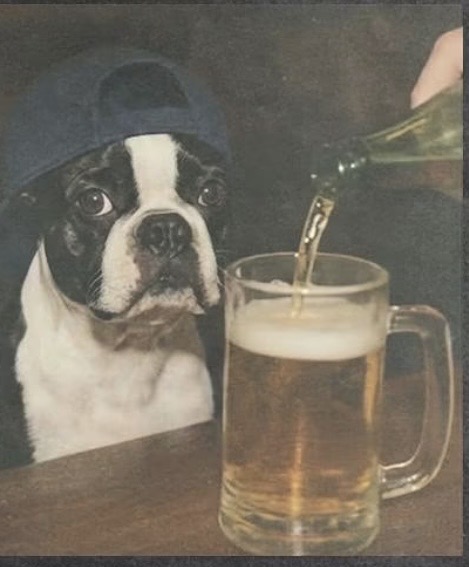 Boston bar patrons after the Tartan Army leaves town. Blank Meme Template