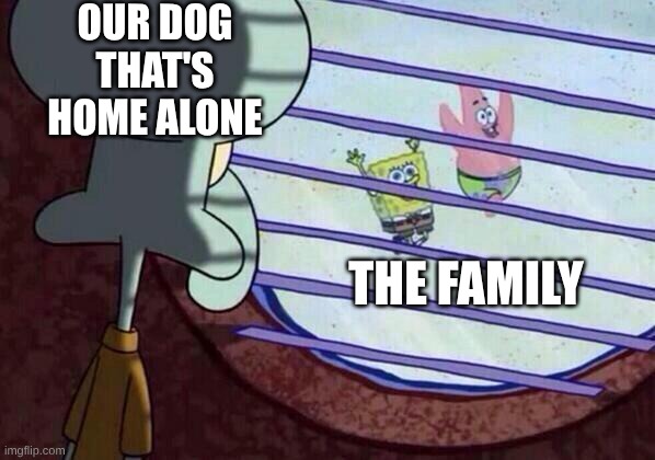 Squidward window | our dog that's home alone; The family | image tagged in squidward window | made w/ Imgflip meme maker